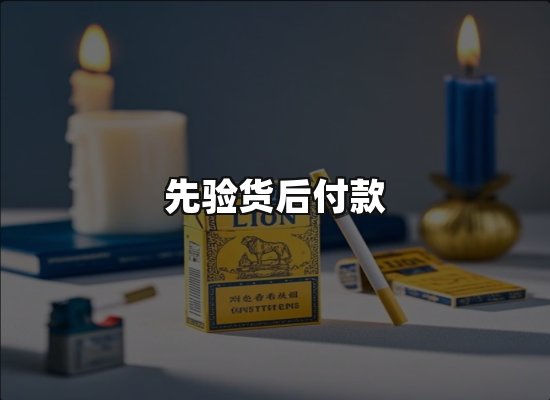 专业优势